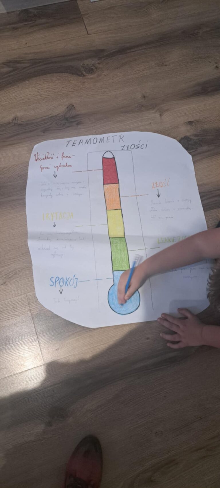 Trening umiejętności społecznych (TUS) w LOGO SENSUM Busko-Zdrój, zdjęcie 11