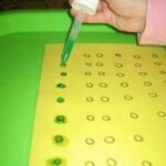 462543941_1068266058422455_2973072585764404312_n